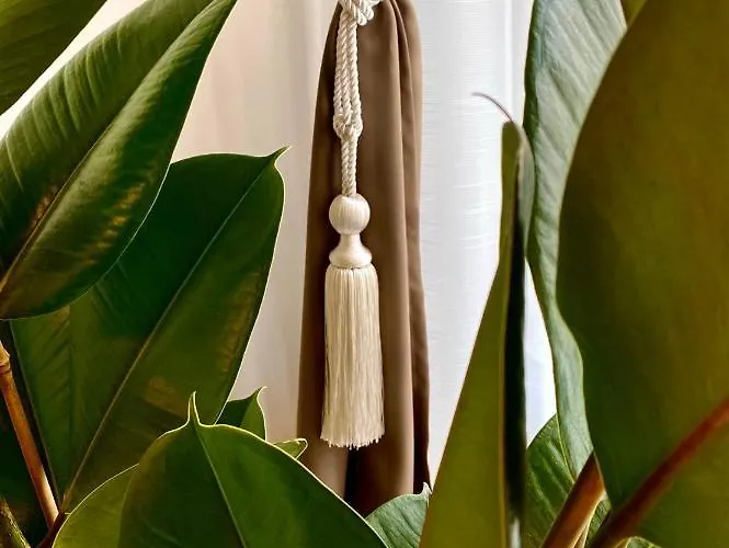 Ars Longa شقة ليوبليانا