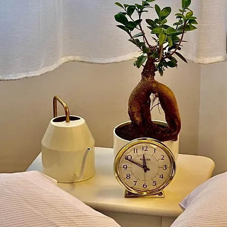 Ars Longa Appartement